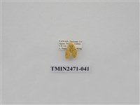 藏品(鉤弧紋豔苔蛾)的圖片